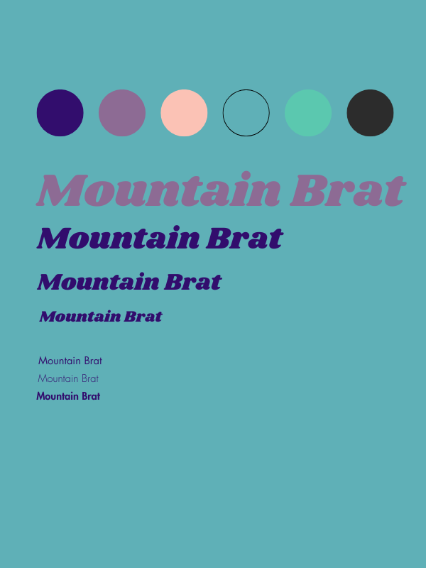 Branding Beispiel mit Fonts und Farben